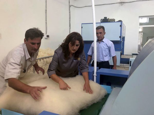 Թակի և սանդերքի փոխարեն` բրդի ավտոմատացված վերամշակում. Ամասիայում բացվել է բրդի գործարան - Sputnik Արմենիա