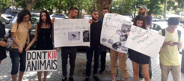 Акция протеста перед зданием парламента (23 июля 2019). Еревaн - Sputnik Արմենիա