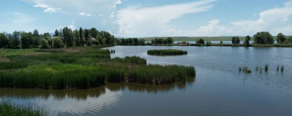 Ахурянское водохранилище - Sputnik Армения