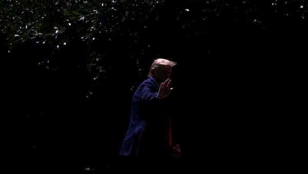 Президент США Дональд Трамп приветствует журналистов по пути в Овальный кабинет (30 июля 2019). Вашингтон - Sputnik Արմենիա