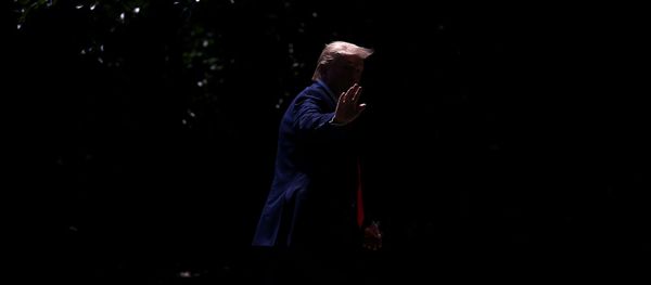 Президент США Дональд Трамп приветствует журналистов по пути в Овальный кабинет (30 июля 2019). Вашингтон - Sputnik Արմենիա