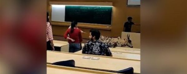 Бродячая корова входит в класс В IIT в Бомбее - Sputnik Армения