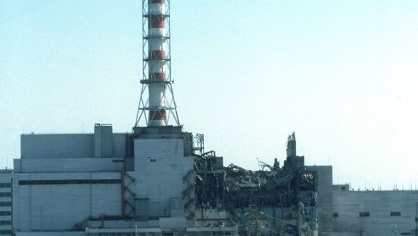 Вячеслав Гришин о докладе разведки США об аварии на ЧАЭС - Sputnik Армения