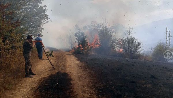 Военнослужащие армянской армии помогают спасателям МЧС при тушении лесных пожаров (27 августа 2019). Капан - Sputnik Армения