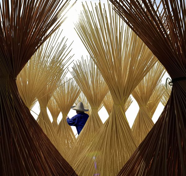 Снимок Harvesting Season китайского фотографа Huaming Zhao, получивший приз Participants' Choice Prize в конкурсе Nikon Photo Contest 2018-2019 - Sputnik Армения