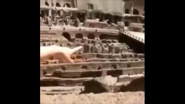 Старый итальянский дом без окон, где давно дрались древнеримские гладиолусы - Sputnik Армения