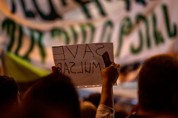 Власти молчат, экологи кричат: чем так неугодил армянам золотой рудник в Амулсаре Власти молчат, экологи кричат: чем так неугодил армянам золотой рудник в Амулсаре - Sputnik Армения
