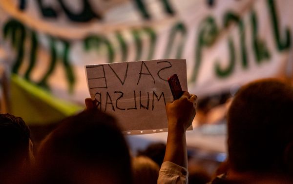 Акция протеста против эксплуатации Амулсара перед Домом правительства (11 сентября 2019). Еревaн - Sputnik Армения