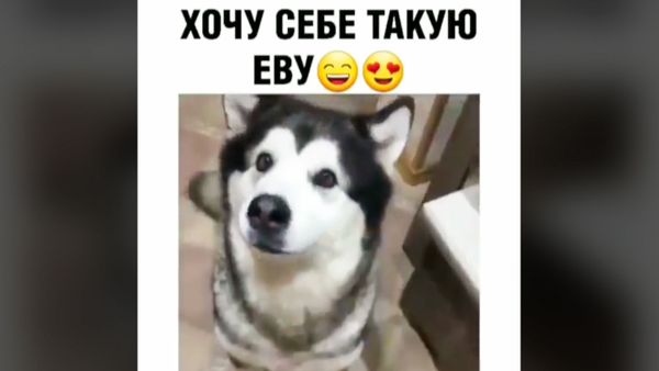 Это просто волшебная Ева - Sputnik Армения