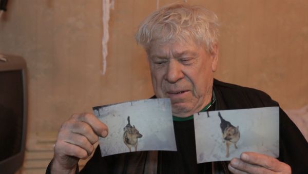 СПУТНИК_Помогите найти друга: как пенсионер из Братска ищет пропавшую собаку - Sputnik Армения
