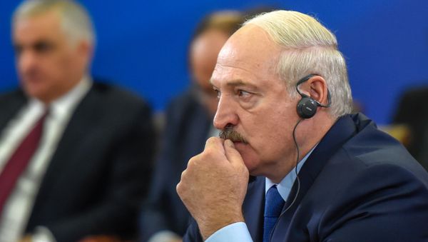 Президент Беларуси Александр Лукашенко во время расширенного заседания Высшего Евразийского Экономического Совета Президент Беларуси Александр Лукашенко во время расширенного заседания Высшего Евразийского Экономического Совета - Sputnik Армения