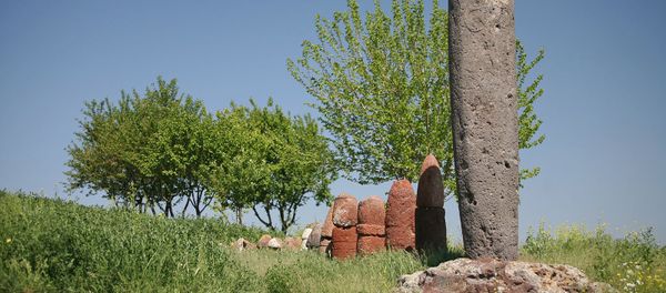 Вишап и фаллосы Мецаморского холма - Sputnik Արմենիա