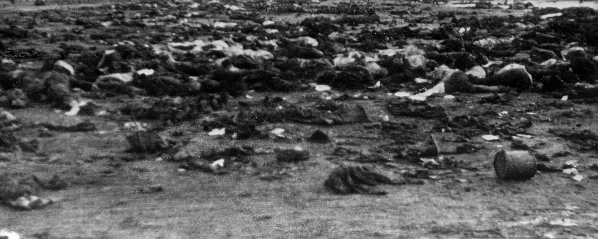 Великая Отечественная война 1941-1945 гг. Советские военнопленные, расстрелянные фашистами в концлагере перед отступлением. Великая Отечественная война 1941-1945 гг. Советские военнопленные, расстрелянные фашистами в концлагере перед отступлением. - Sputnik Армения, 1920, 20.10.2021