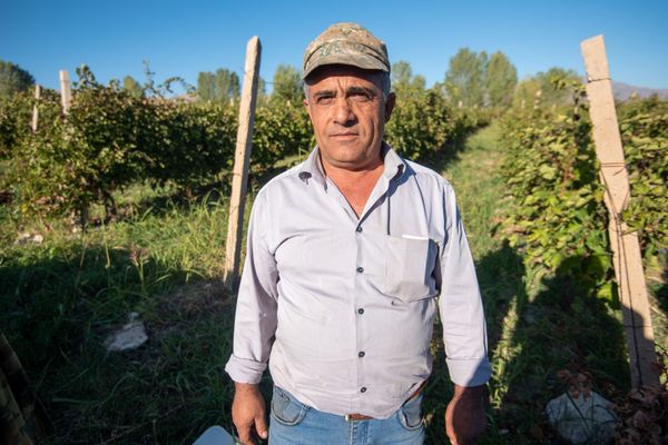 Как сбыть урожай и не разориться? В армянском Ахавнадзоре воюют с виноделами - Sputnik Армения