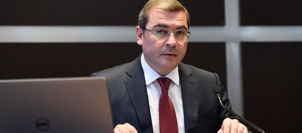 Пресс-конференция председателя Комитета государственных доходов Армении Давида Ананяна (16 октября 2019). Еревaн Пресс-конференция председателя Комитета государственных доходов Армении Давида Ананяна (16 октября 2019). Еревaн - Sputnik Արմենիա