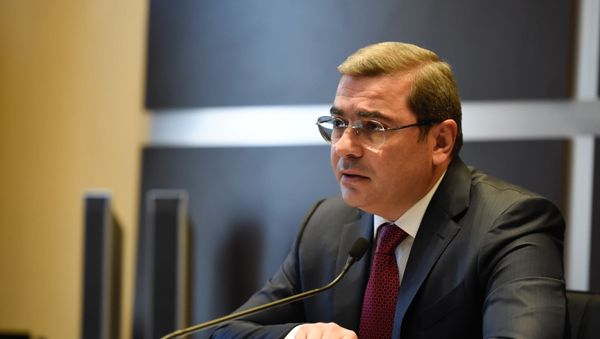 Пресс-конференция председателя Комитета государственных доходов Армении Давида Ананяна (16 октября 2019). Еревaн - Sputnik Армения