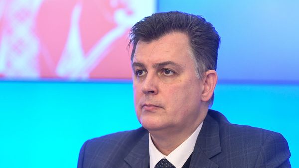 Политолог, экономист Александр Дудчак - Sputnik Армения