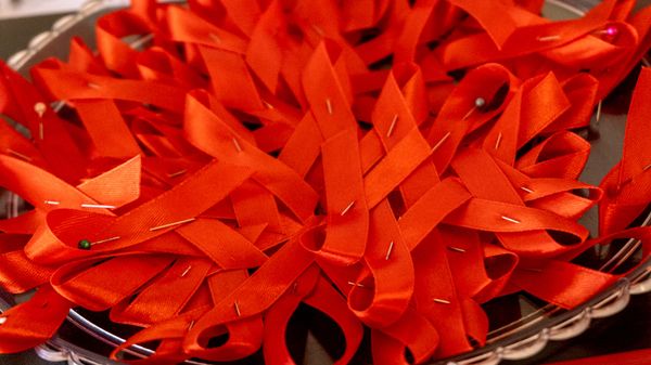 Мероприятия, посвященные 30-летию создания Республиканского Центра по профилактике СПИДа (23 октября 2019). Еревaн - Sputnik Армения