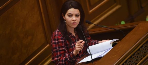 Депутат от фракции Мой шаг Татевик Айрапетян на внеочередном заседании парламента (14 февраля 2019). Еревaн - Sputnik Արմենիա