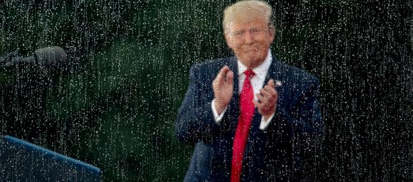 Президент США Дональд Трамп во время празднования Дня Независимости перед мемориалом Линкольна (4 июля 2019). Вашингтон - Sputnik Արմենիա