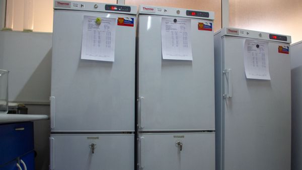 Սառարաններ լաբորատորիայում - Sputnik Արմենիա