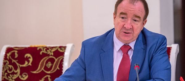 Игорь Панарин во время круглого стола Роль ОДКБ в обеспечении региональной безопасности (4 ноября 2019). Еревaн - Sputnik Армения