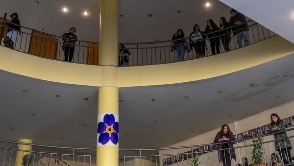 Забастовка в ЕГУ (6 ноября 2019). Еревaн - Sputnik Արմենիա