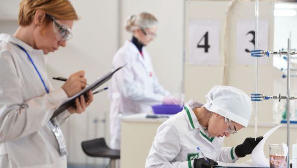 VI Национальный чемпионат WorldSkills Hi-Tech-2019 в Екатеринбурге - Sputnik Армения