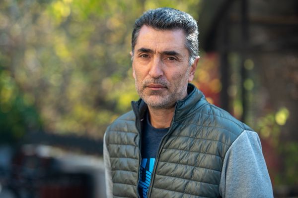 Страсти в Ереванском зоопарке разгорелись из-за самок? Эксперты о собачьих историях - Sputnik Армения