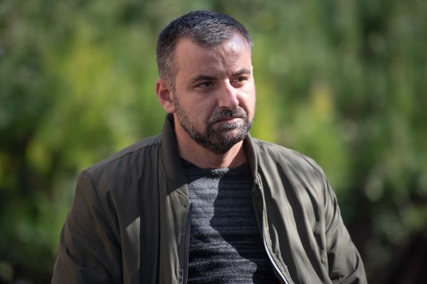 Страсти в Ереванском зоопарке разгорелись из-за самок? Эксперты о собачьих историях - Sputnik Армения