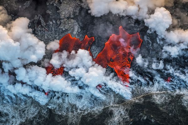 Снимок The red elephant испанского фотографа Luis Manuel Vilariño Lopez, занявший второе место в категории  LANDSCAPES конкурса GDT European wildlife photographer of the year 2019 - Sputnik Армения