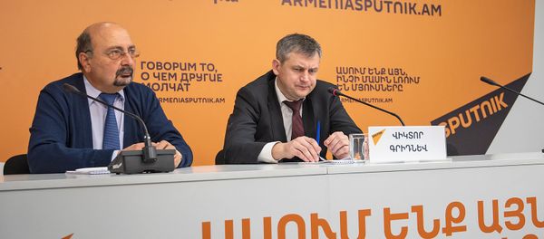 Пресс-конференция Виктора Гриднева в мультимедийном пресс-центре Sputnik Армения (13 ноября 2019). Еревaн - Sputnik Армения