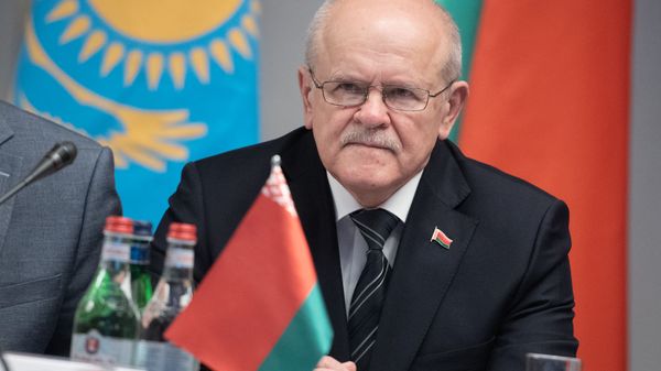 Председатель Комитета государственного контроля Беларуси Леонид Анфимов на совместном заседании контрольных палат стран Евразийского союза (28 ноября 2019). Еревaн - Sputnik Армения