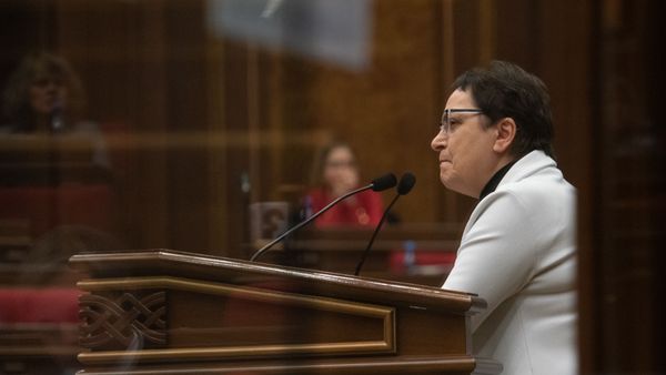 Лариса Алавердян на Международной конференции, посвященной 15-летию офиса омбудсмена в Армении (27 ноября 2019). Еревaн Лариса Алавердян на Международной конференции, посвященной 15-летию офиса омбудсмена в Армении (27 ноября 2019). Еревaн - Sputnik Արմենիա