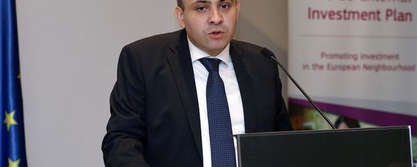 Замминистра экономики Варос Симонян  - Sputnik Армения