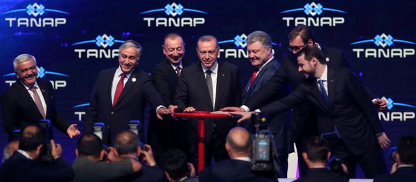 Президенты Турции, Сербии, Азербайджана, Украины и лидер турок-киприотов на церемонии открытия Трансанатолийского газопровода (12 июня 2018). Эскишехир, Турция Президенты Турции, Сербии, Азербайджана, Украины и лидер турок-киприотов на церемонии открытия Трансанатолийского газопровода (12 июня 2018). Эскишехир, Турция - Sputnik Армения