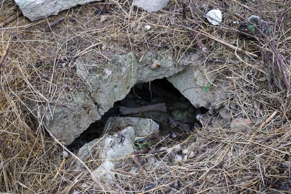 Стройка на костях: средневековое кладбище рядом с армянским храмом в Феодосии можно спасти - Sputnik Армения