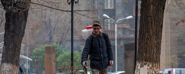 Сотрудник комунальной службы городской администрации убирает опавшие листья в Сквере Хачкаров (9 декабря 2019). Еревaн - Sputnik Армения
