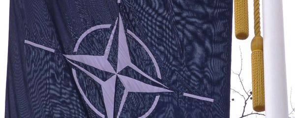 Развал НАТО: сможет ли альянс сохранить единство Развал НАТО: сможет ли альянс сохранить единство - Sputnik Армения
