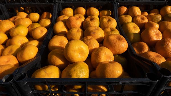 Оптовый рынок в Армавире - Sputnik Армения