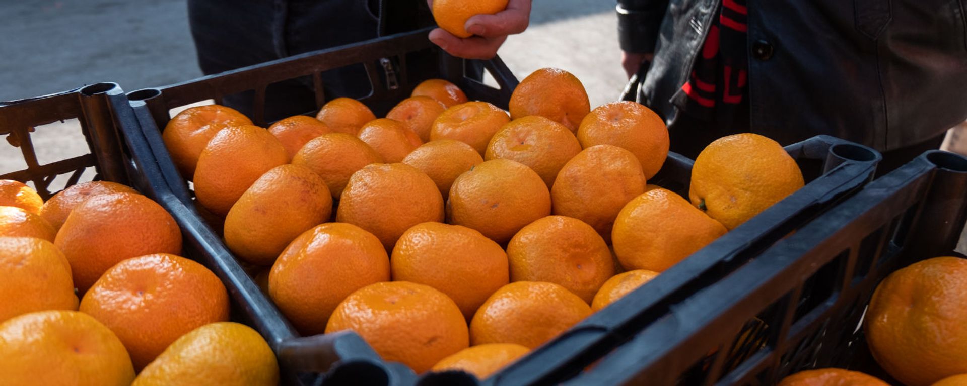 Оптовый рынок в Армавире - Sputnik Армения, 1920, 17.11.2020