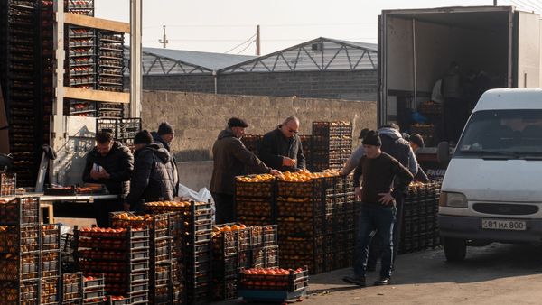 Գյուղմթերքի շուկա - Sputnik Արմենիա