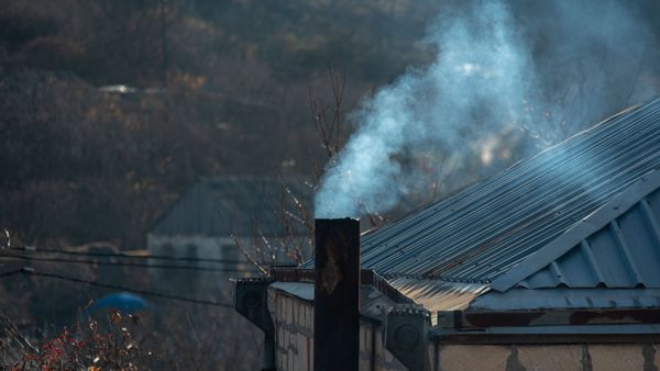 Կոթի - Sputnik Արմենիա