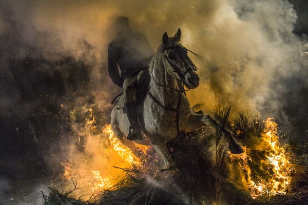 Всадник проезжает через огонь во время ежегодного фестиваля Las Luminarias в испанской деревне Сан-Бартоломе-де-Пинаре Всадник проезжает через огонь во время ежегодного фестиваля Las Luminarias в испанской деревне Сан-Бартоломе-де-Пинаре - Sputnik Армения