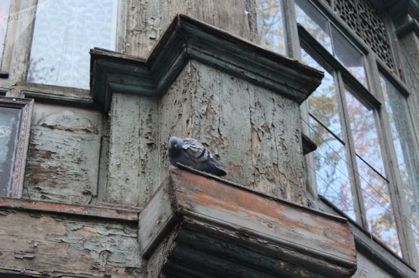 Маленькие тайны большого здания на углу - история загадочного дома Мелкумова Маленькие тайны большого здания на углу - история загадочного дома Мелкумова - Sputnik Армения