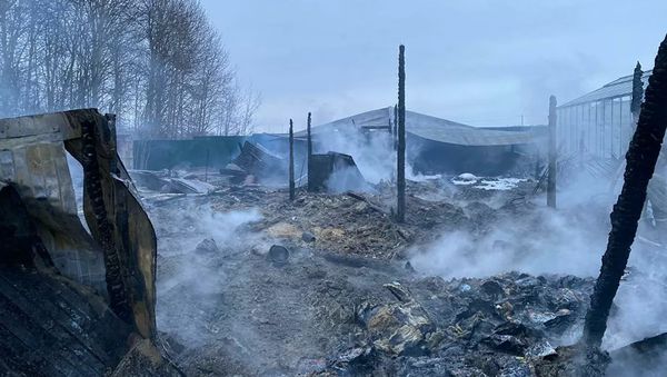 Последствия пожара на территории дачного товарищества в Подмосковье (7 января 2020). Раменский район Последствия пожара на территории дачного товарищества в Подмосковье (7 января 2020). Раменский район - Sputnik Армения
