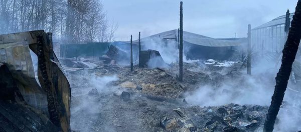 Последствия пожара на территории дачного товарищества в Подмосковье (7 января 2020). Раменский район Последствия пожара на территории дачного товарищества в Подмосковье (7 января 2020). Раменский район - Sputnik Армения