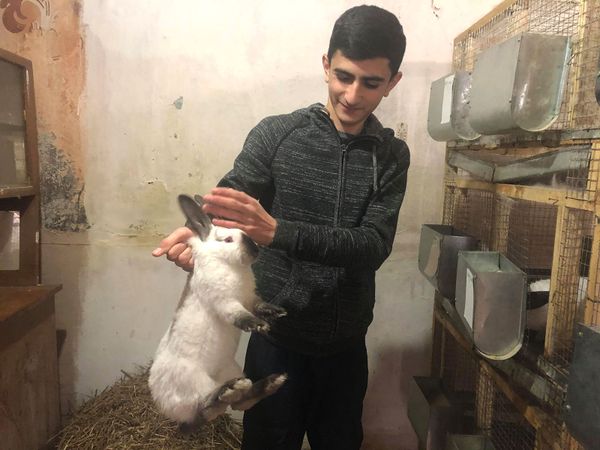 Одна встреча с Пашиняном и 15-летний гюмриец замахнулся на кроличью ферму - Sputnik Армения