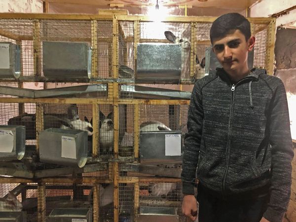 Փաշինյանն օգնեց նպատակասլաց գյումրեցուն, կամ 15-ամյա ֆերմերն ու ճագարի բիզնեսը Հայաստանում - Sputnik Արմենիա