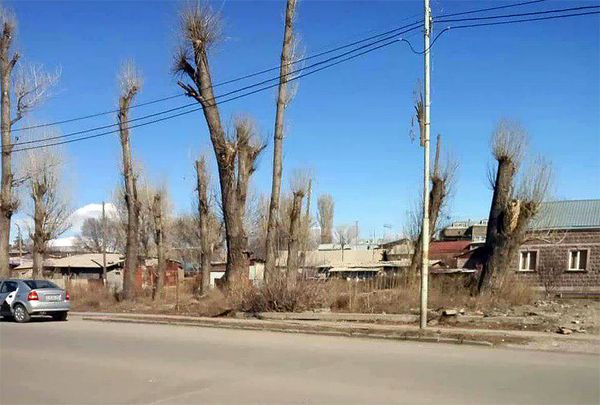 Վերացված կանաչ գոտի Գյումրիում, կամ օրենքը լռո՞ւմ է «օրենքով գողերի» դեպքում - Sputnik Արմենիա